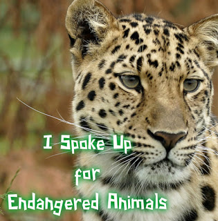 Louis Endangered Species Challenge