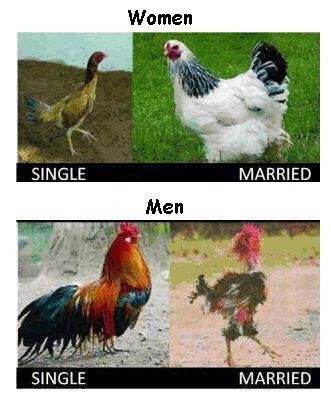 compare contrast on marriage vs single You can use a special list of original compare and contrast essay topics to complete exceptional compare and contrast essays: marriage vs single life. compare contrast on marriage vs single You can use a special list of original compare and contrast essay topics to complete exceptional compare and contrast essays: marriage vs single life.