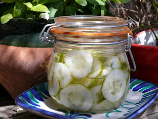 pickled cucumber tapas