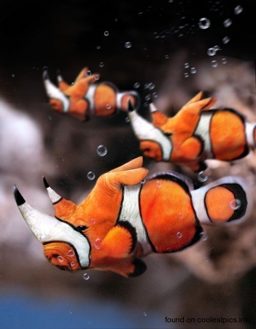 [Image: amazing_photoshop_animals_02.jpg]