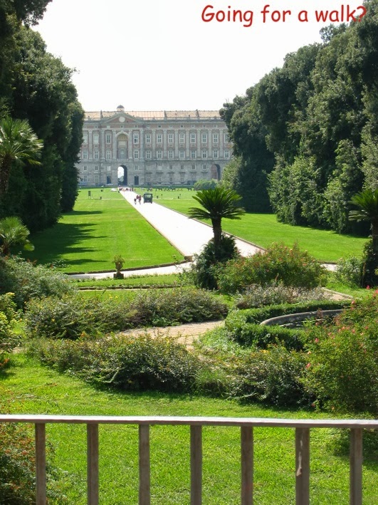 the palace