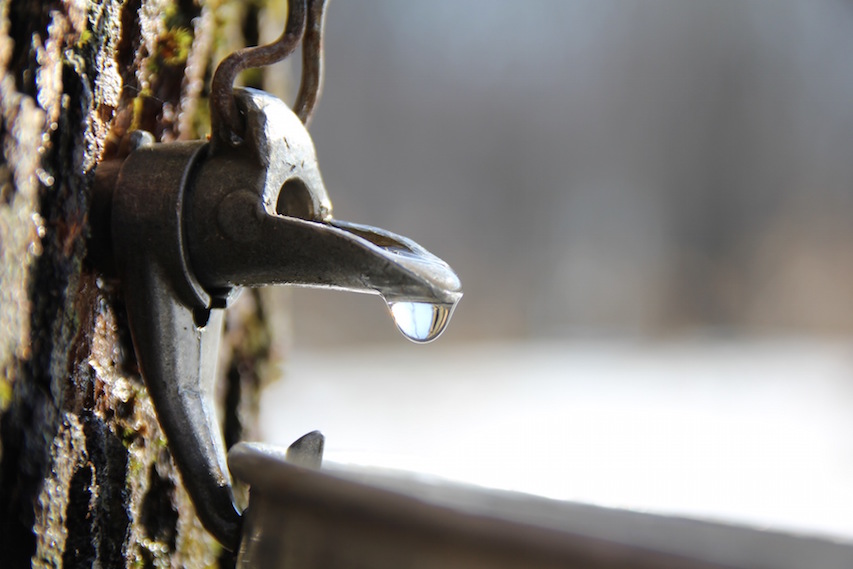 Kitchen by Aubergine Maple Syrup Pie