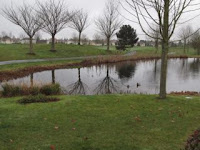 View from rear patio of our condo at at Marriott Village d'Ill de France near Paris