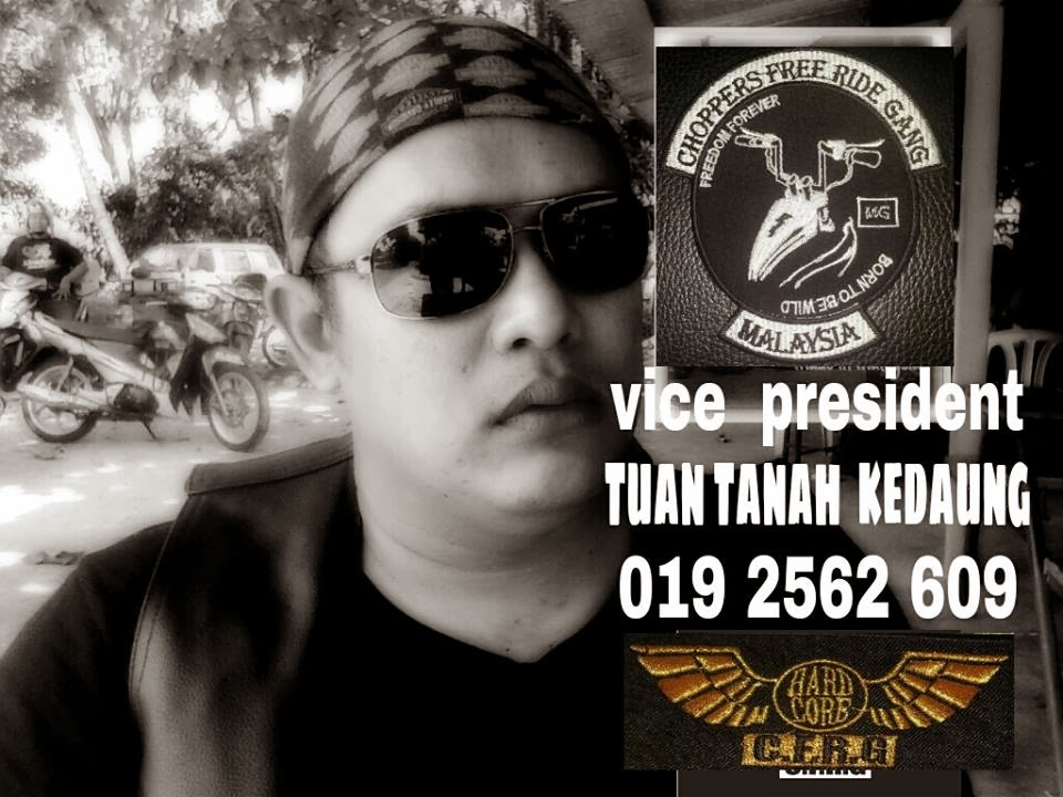 Vice  President