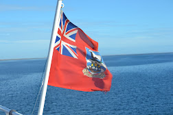 Falkland Sound - The Concordia Bay