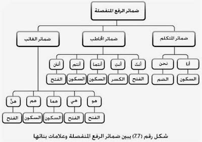 الضمائر كلّها معربة. صواب خطأ