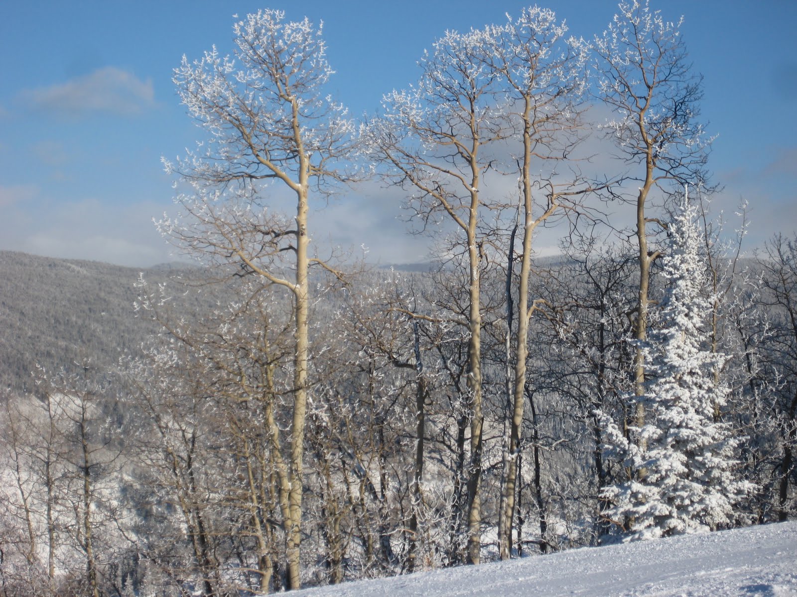 Sensory Overload: Ski Trip to Aspen, Colorado