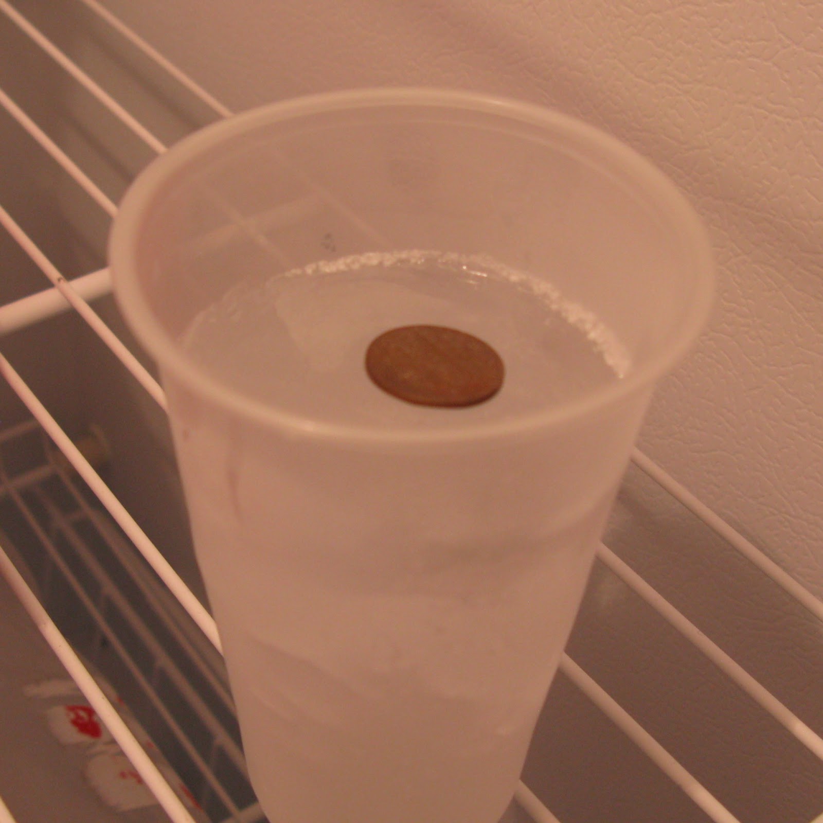 Power Outage Freezer Thaw Test Farmstead Adventures