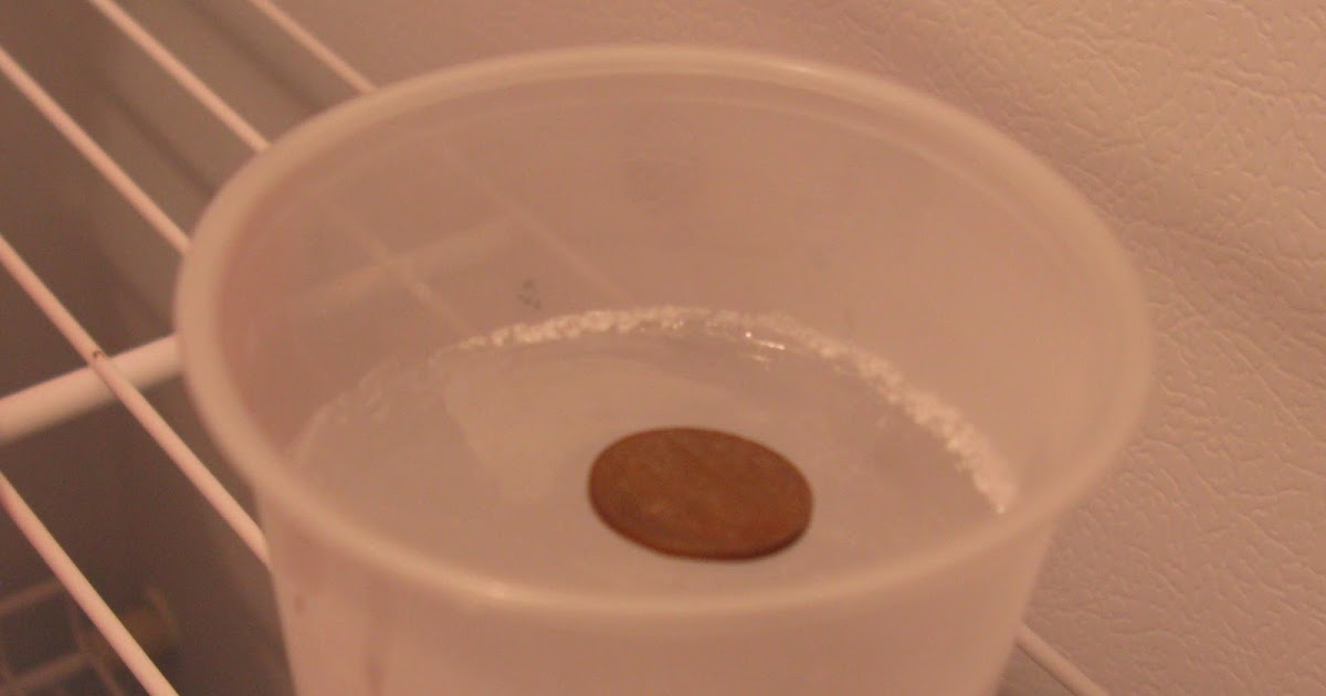 Power Outage Freezer Thaw Test Farmstead Adventures