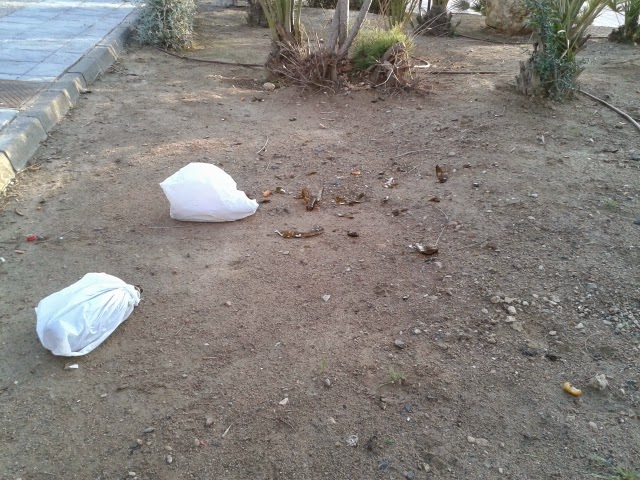 litronas2 litronas2