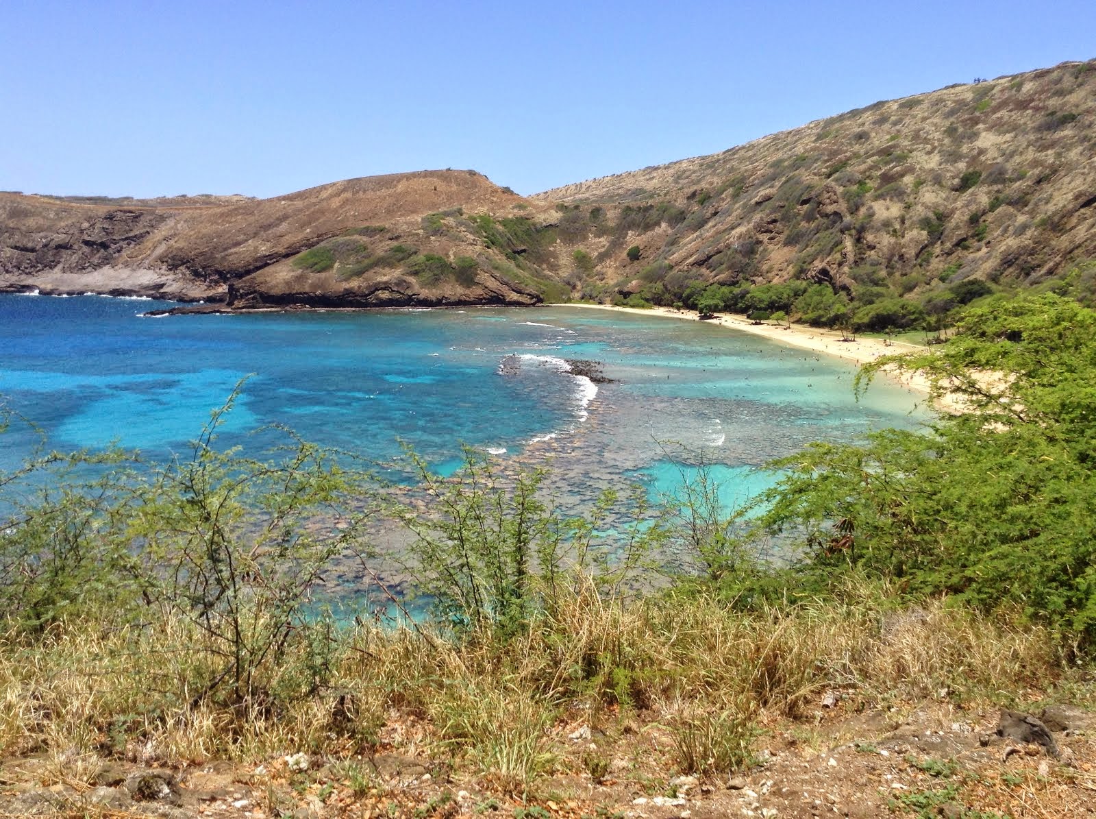 FUN IN HAWAII