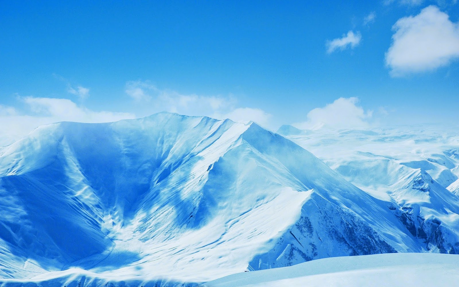 ice mountain in ice shade wallpaper wallpapersxplore funny christmas animal pictures