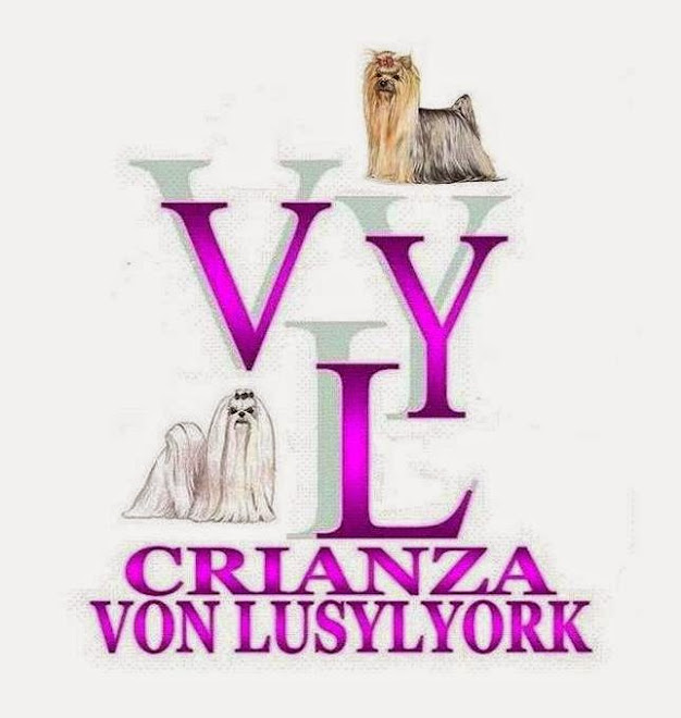 Crianza Von Lusylyork