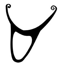 The Sun is in Taurus from