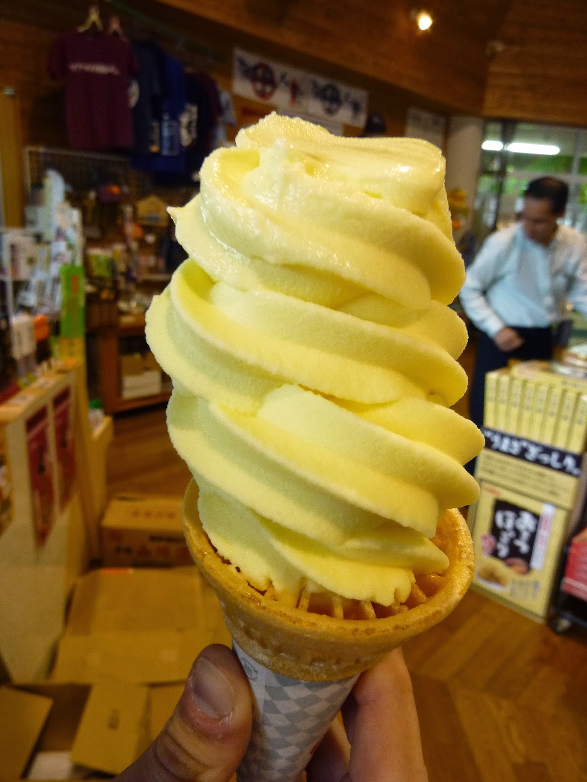 Mushingo Trip to Japan Day 18 Sakurajima and Ibusuki