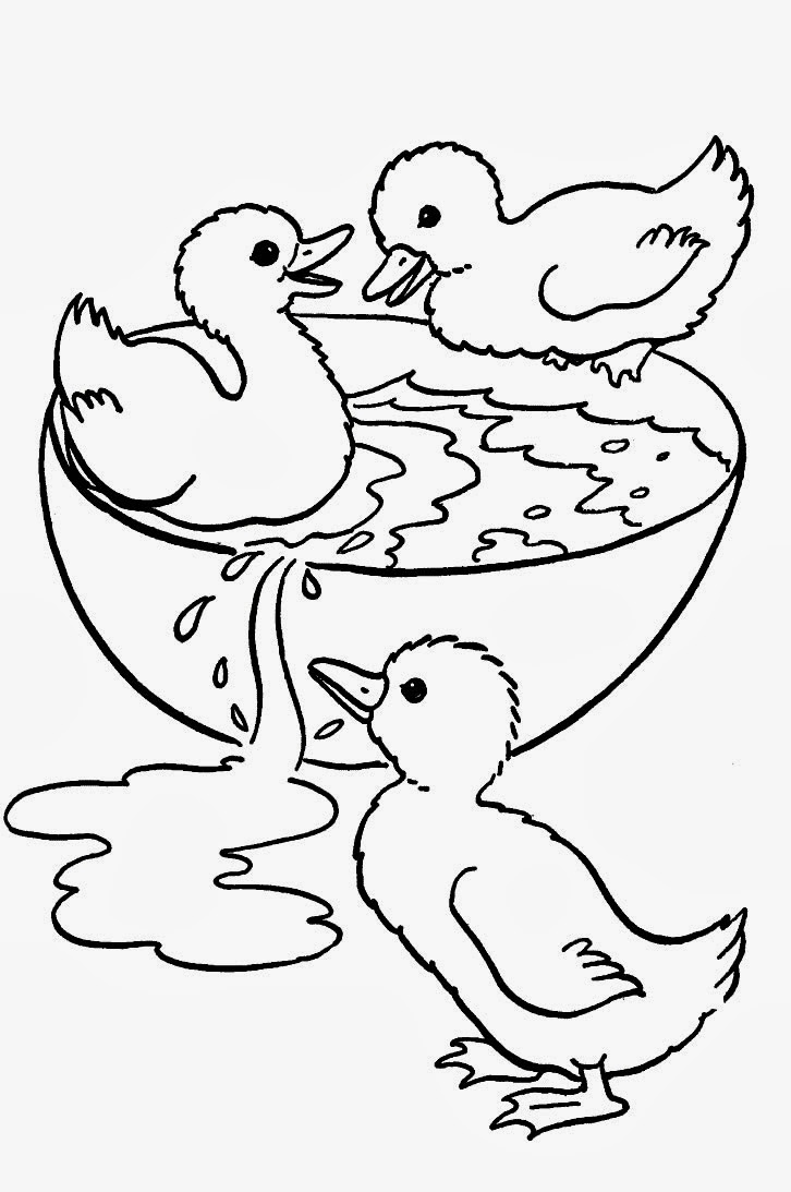 desenho de filhotes de patos para colorir desenhos para colorir