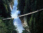 Suspension Bridge