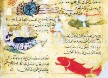 Kata Mutiara Tentang Ilmu Dalam Islam
