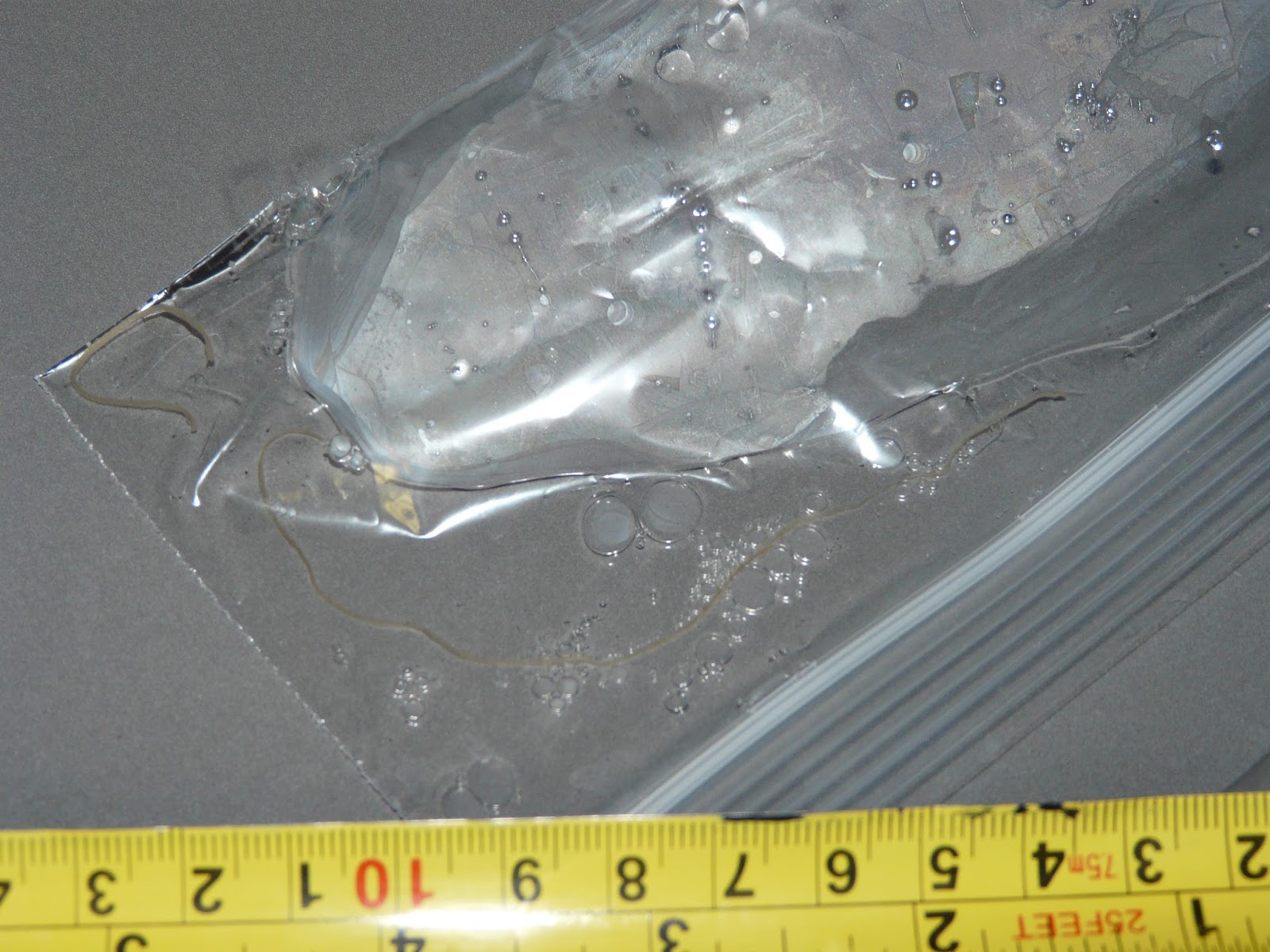 The "Secret" is Gratitude Official Human Diagnosis Horsehair