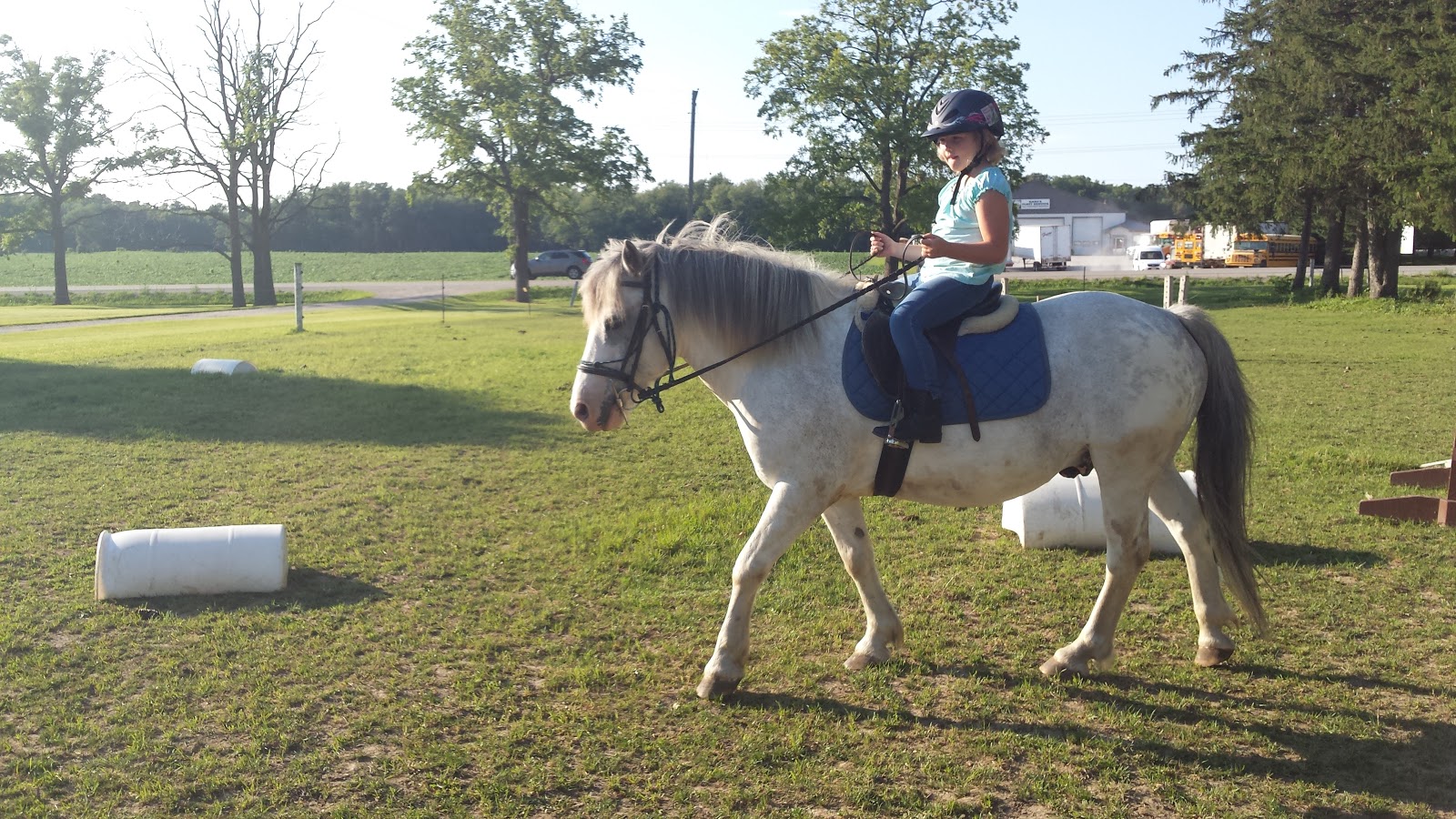 Horses4kids