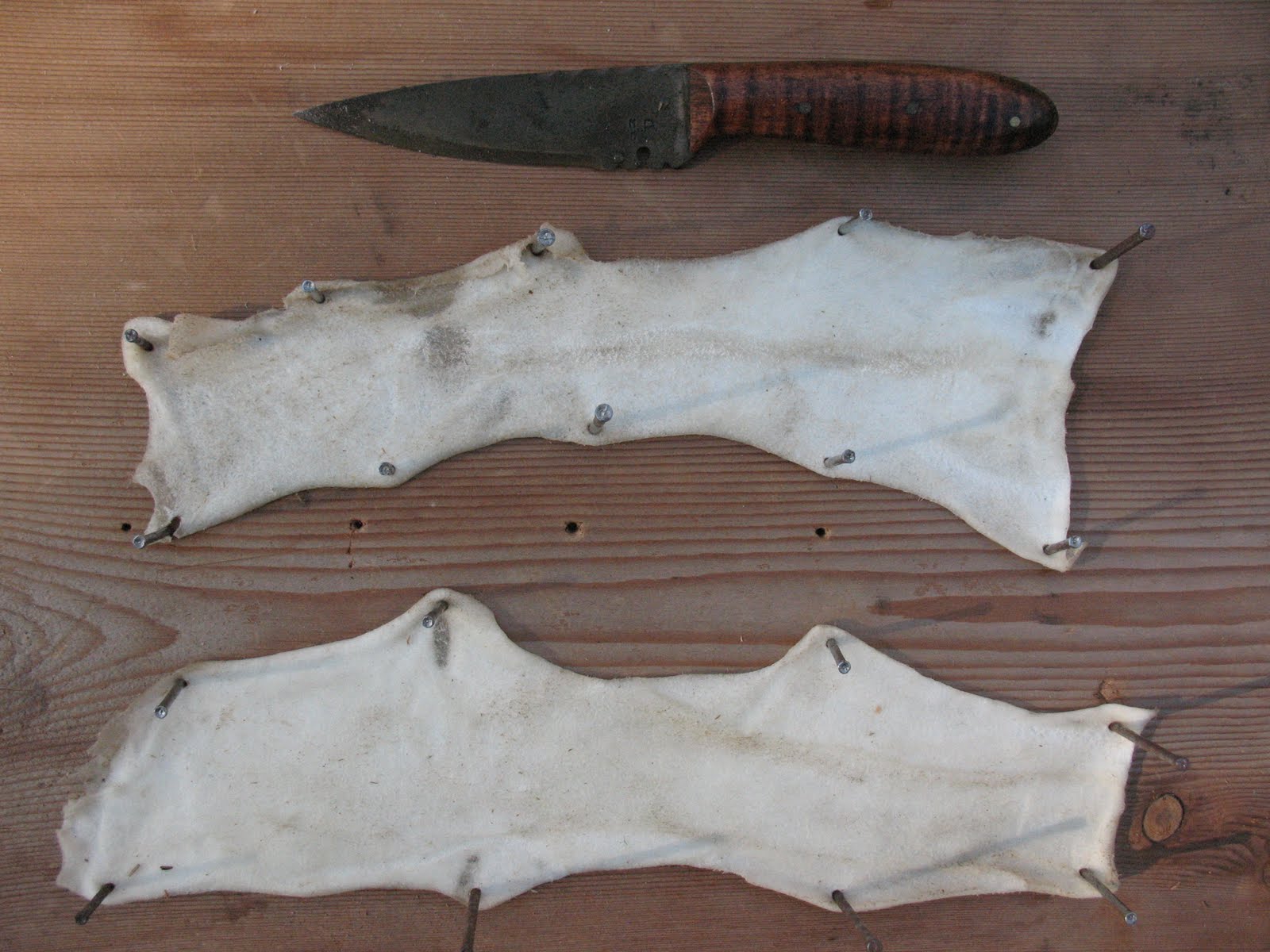 Sensible Survival Make a Rawhide Knife Sheath Part 1