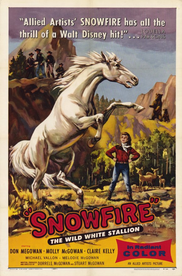 Snowfire movie