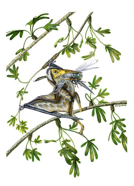 Discovery of a rare arboreal forest-dwelling flying reptile (Pterosauria,  Pterodactyloidea) from China