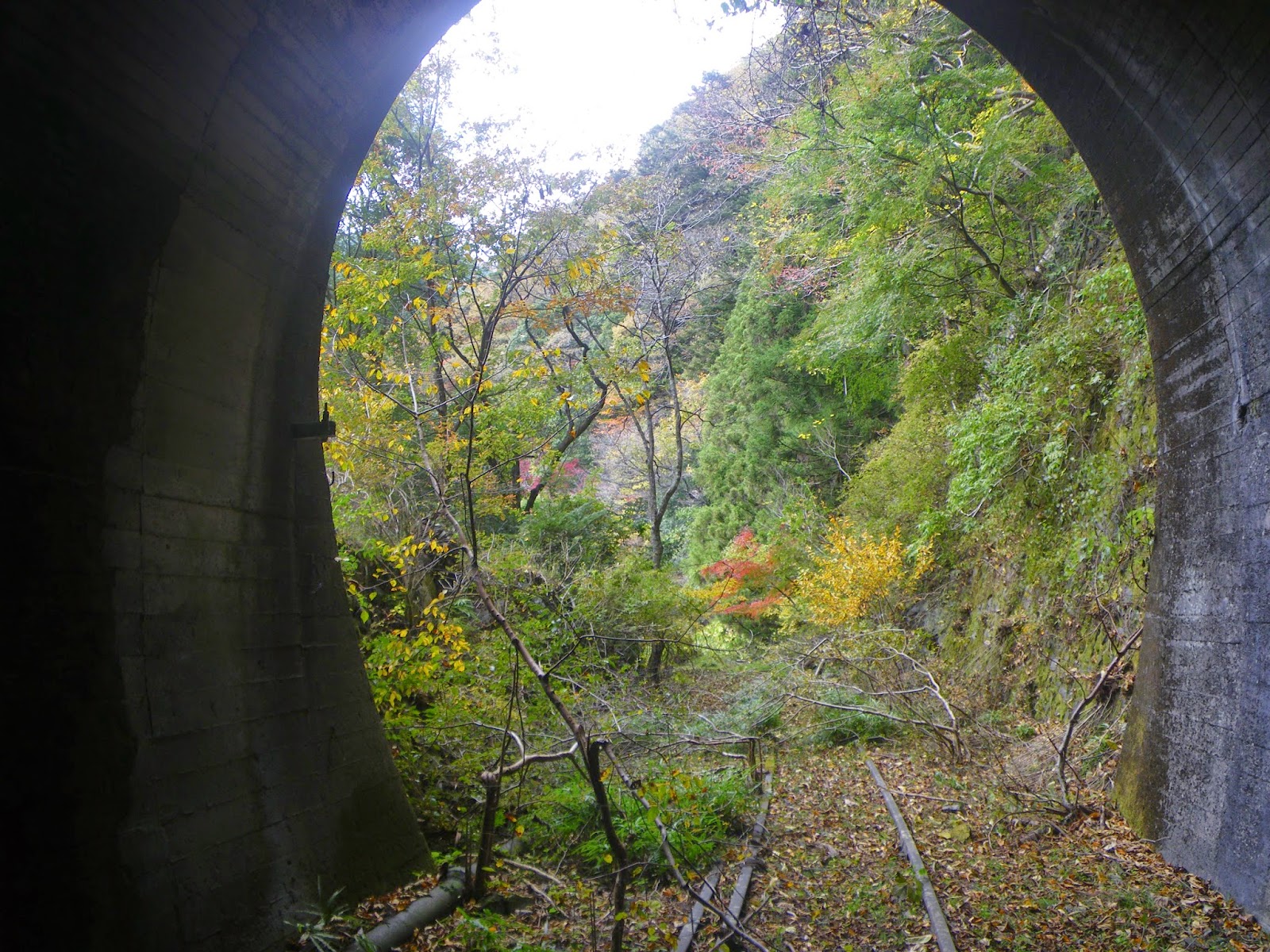 奥多摩 廃線跡を辿る 水根貨物線の廃線跡を奥多摩駅から奥多摩湖まで辿る 時空散歩
