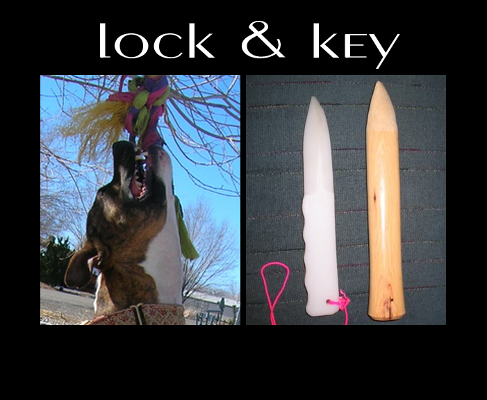 The TRUTH About Pit Bulls Locking Jaws