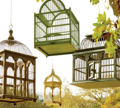 Decorating with Birdcages