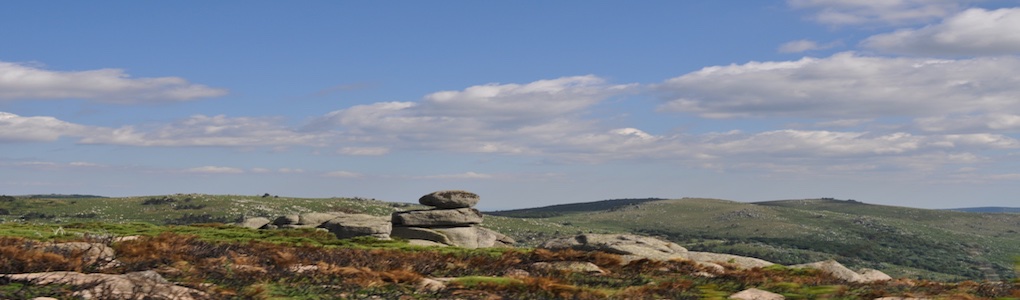 Découverte du Gard