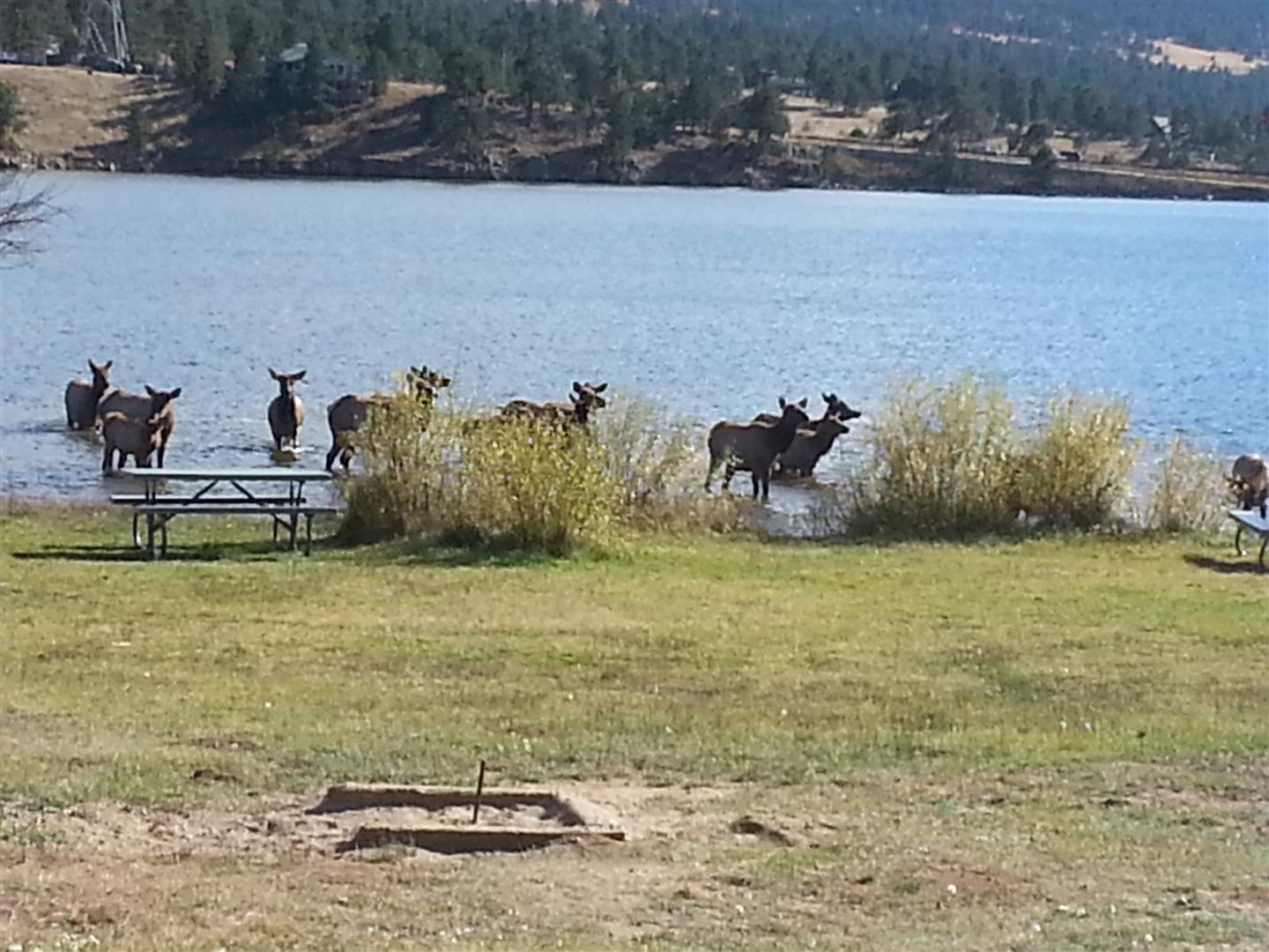 Denver Direct Back Road Driveabout Glen Haven, Colorado