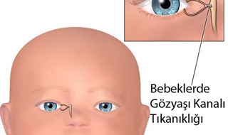 bir ilkbahar sabahi tikali gozyasi kanalimiz acildi