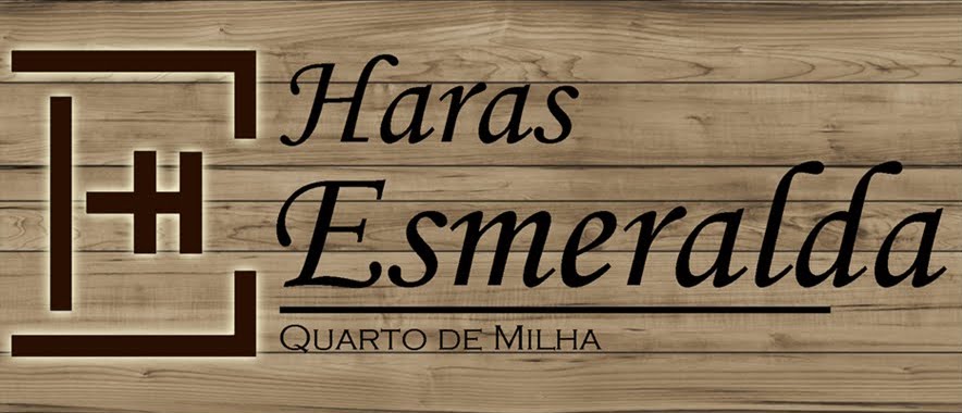 ..:: Haras Esmeralda / Quarto de Milha, Paint Horse ::..