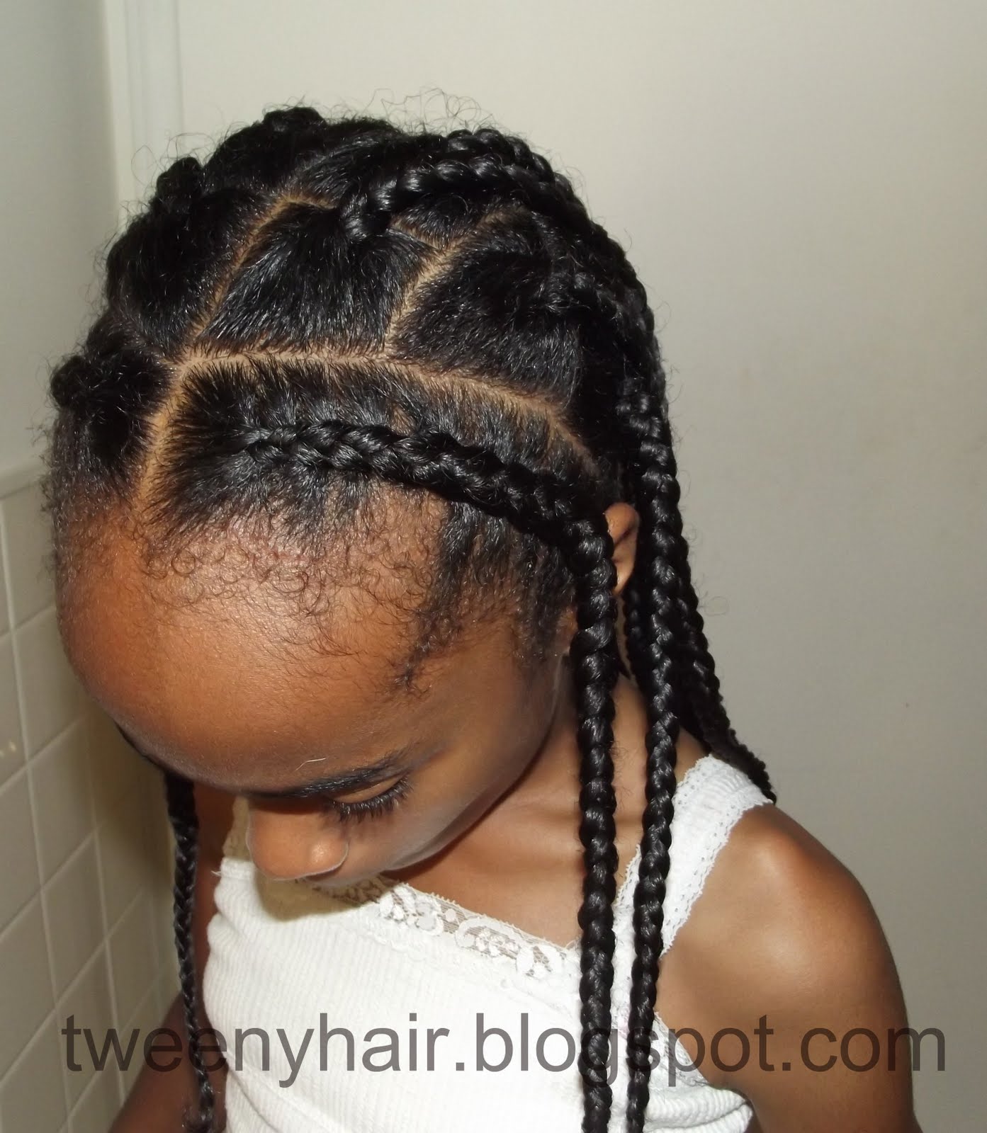 Micro African Braids Hairstyles African Braids Pictures Simple Style - Cornrows and Box Braids