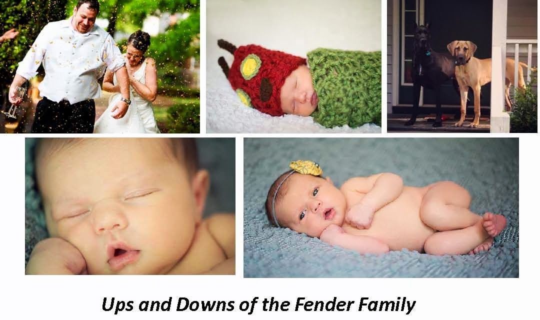 Ups and Downs of the Fender Family