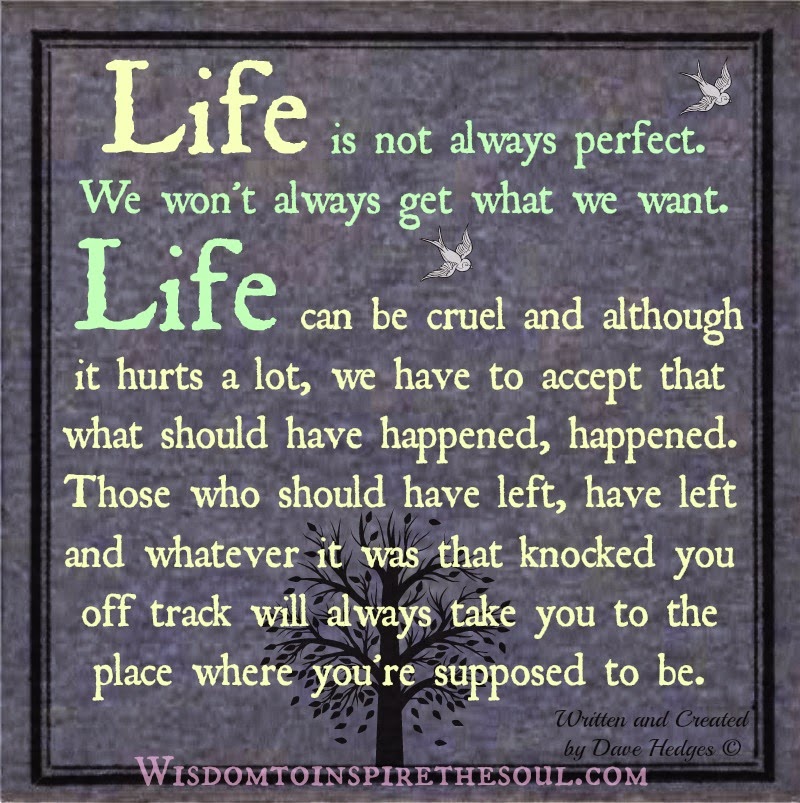 Daveswordsofwisdom.com: Life will never be perfect.