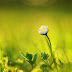 Beautiful Photography By R3novatio