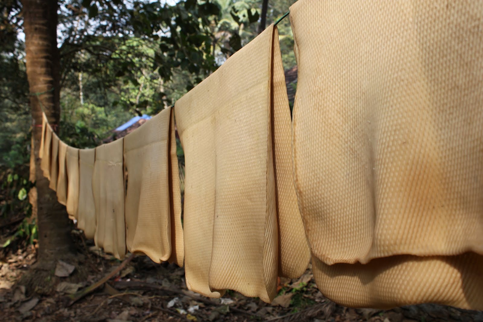 KANYAKUMARIA Must Visit Place Once in LIFETIME Kanyakumari A