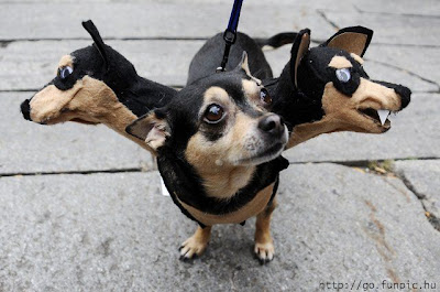 Three headed dog costume