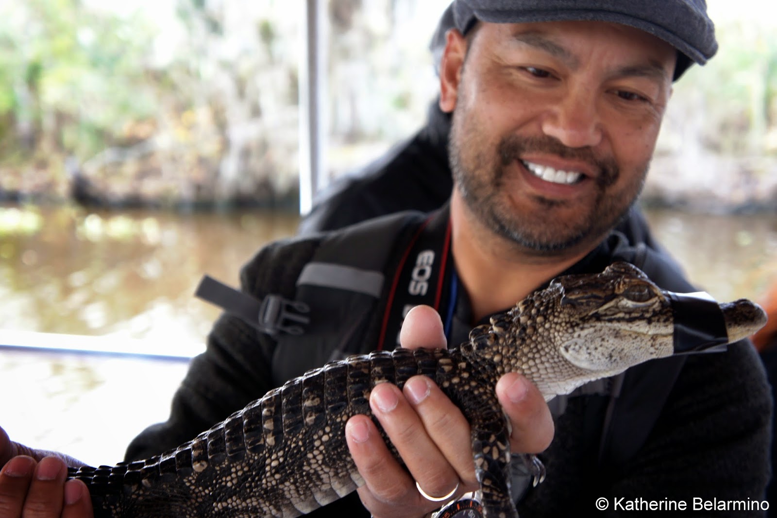 Alligator Hunting on a New Orleans Swamp Tour Travel the World