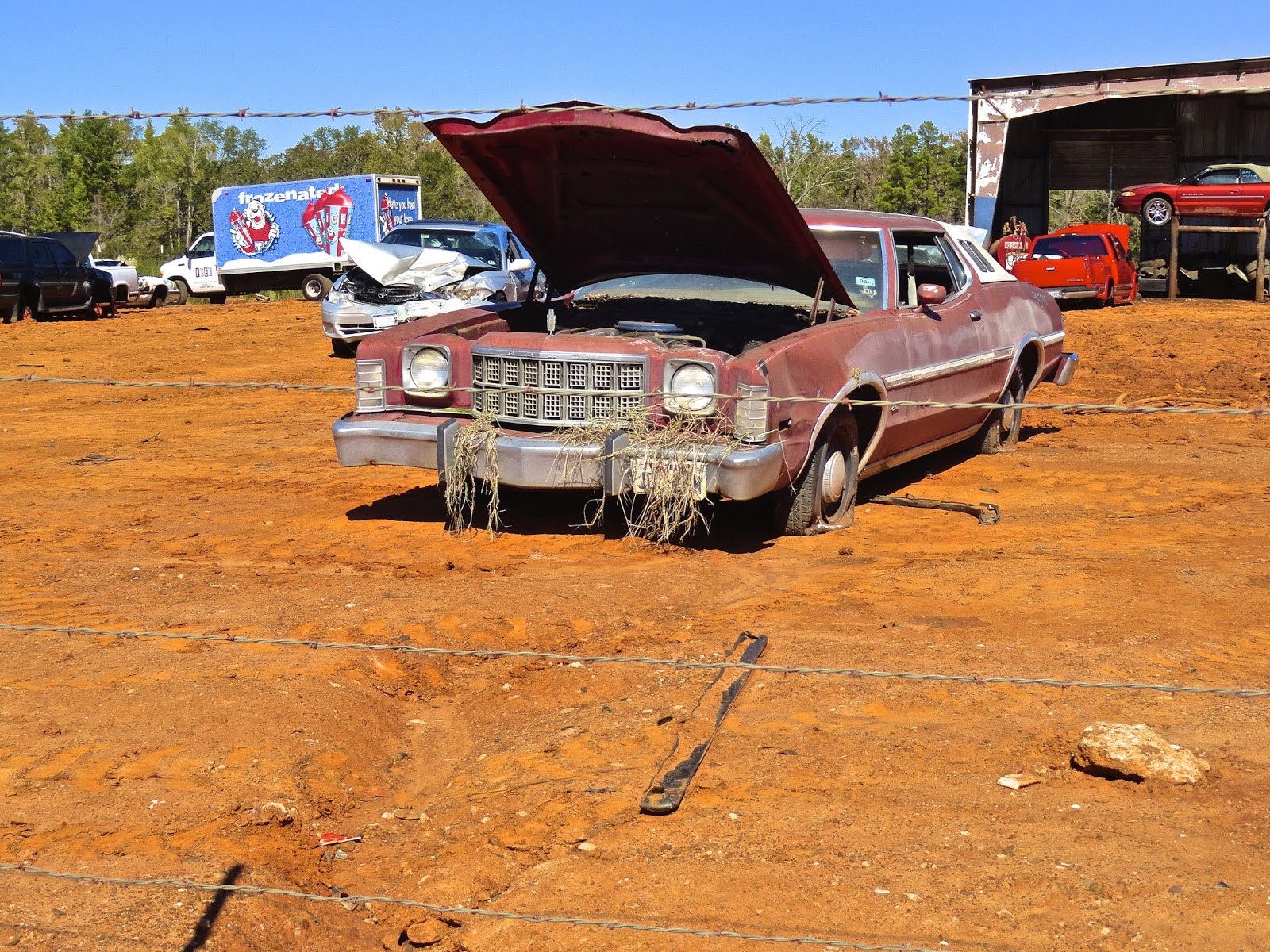 Old Cars in Texas Junkyard Cars Torino, Mustang, Datsun