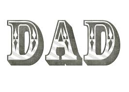 Essay of father