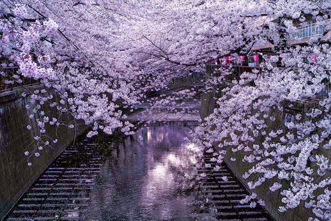 tromaktiko2 | Lamianow.gr