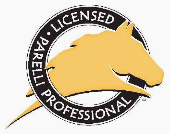 Licensed Parelli Professional