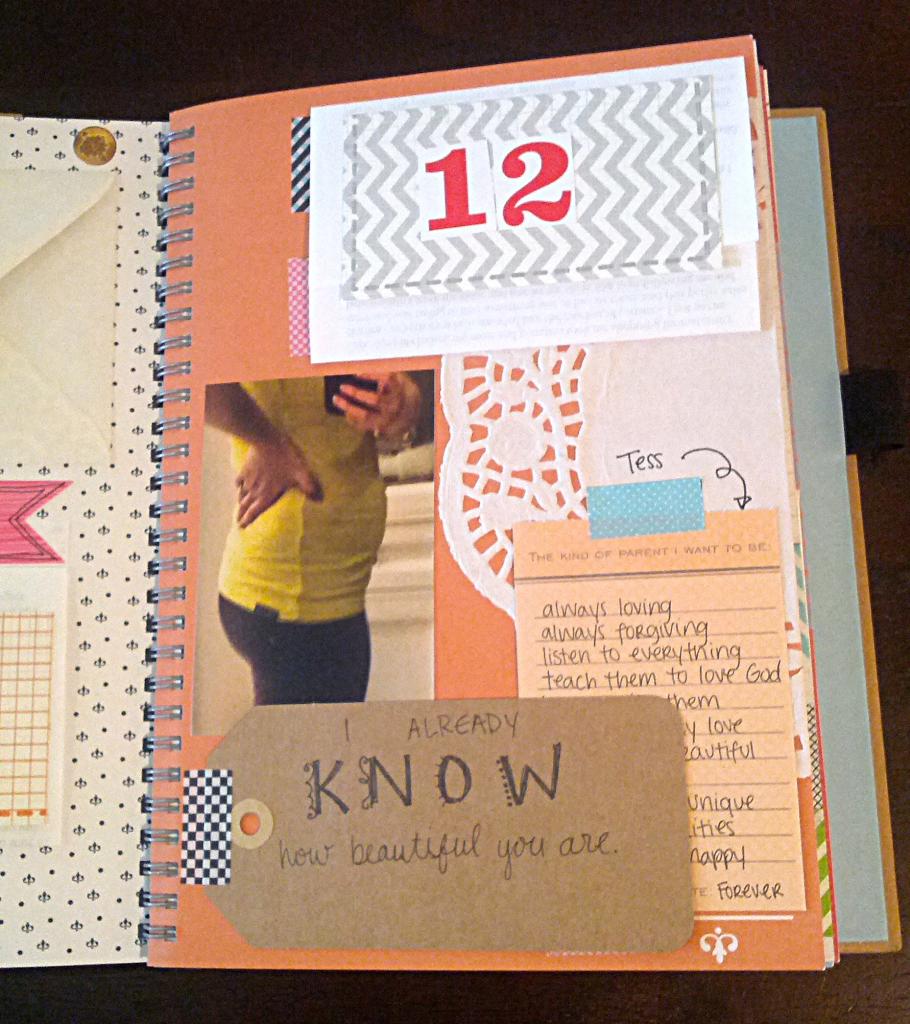 pregnancy and baby book