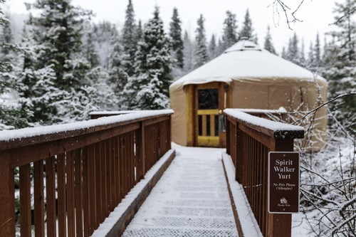 Don T Have A Cabin In The Woods Rent One