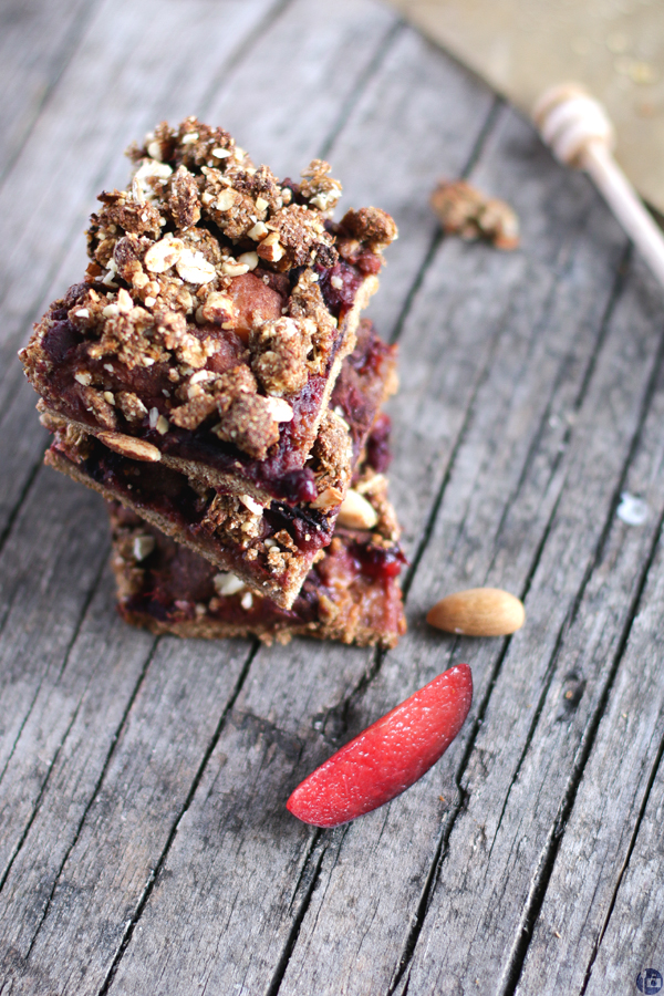 Plum Crumble Squares with honey and oats