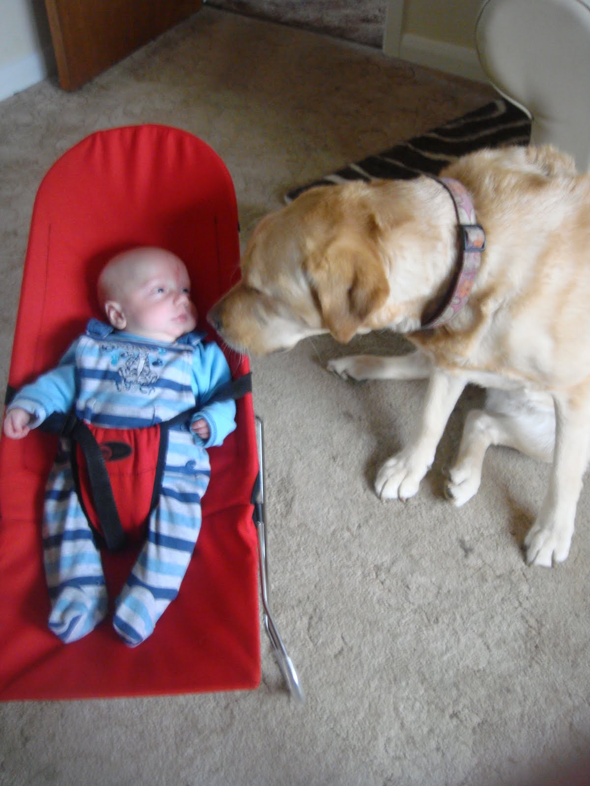 DisABLEd Positive parent The dreaded poppers on baby clothes.