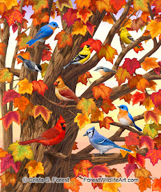 Crista Forest S Animals Art New Bird Painting Autumn Maple Tree